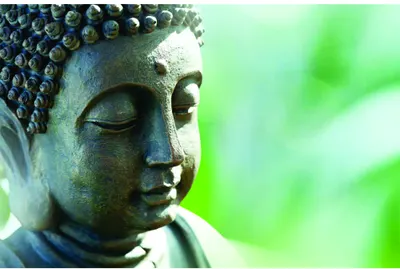 A stone Buddha head in profile with closed eyes, photographed against a blurred green background suggesting foliage and natural light.