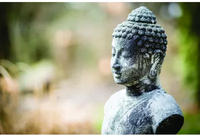 A grey stone Buddha head sculpture in profile, surrounded by blurred green foliage and natural light.