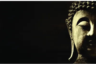 Profile of a golden Buddha head with curled hair and downcast eyes against a black background.
