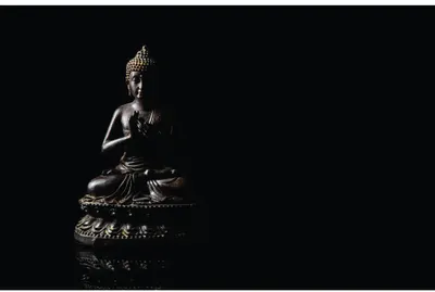 A golden bronze Buddha statue in seated meditation pose, lit dramatically against a completely black background.