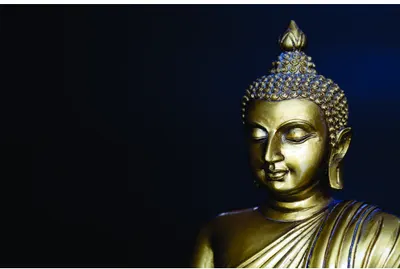 A golden Buddha statue with closed eyes and serene expression, illuminated against a dark navy blue background.