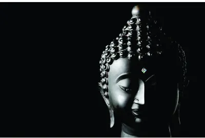 A monochrome photograph of a Buddha head in profile against a black background, with dramatic lighting highlighting the serene facial features and detailed hair texture.