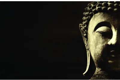 A golden Buddha head in profile facing right against a black background, with serene expression and detailed curled hair.