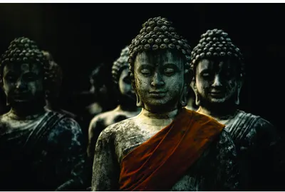 Three stone Buddha heads in profile, the central figure wearing a saffron-coloured robe, photographed against a dark background.