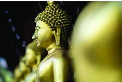 Profile photograph of a golden Buddha statue with soft focus blurred figures in the background.