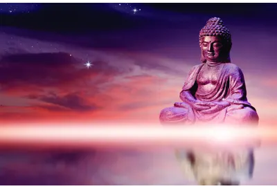 A seated Buddha statue glows in shades of purple and pink against a twilight sky scattered with stars.