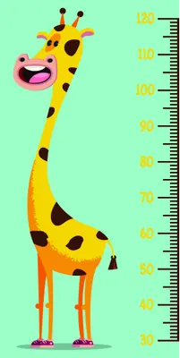 A cartoon giraffe with a wide smiling face stands upright against a mint green background, with a measurement scale marked in increments running vertically along its body from its feet to its head.