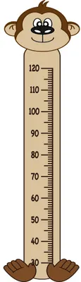 A cartoon monkey with brown fur and a wide smile stands beside a vertical measurement scale marked from 20 to 120 centimetres, with the monkey's head at the top and feet at the bottom.