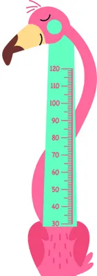 A cartoon illustration of a bright pink parrot with brown wings and tail feathers stretching alongside a tall mint-green height measurement scale marked in centimetres from 30 to 120.