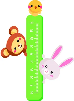 A green height-measurement chart decorated with cartoon animals: a yellow chick at the top, a brown monkey on the left, and a white rabbit with pink ears on the right.