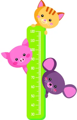 A cartoon height chart with a lime-green ruler featuring a smiling orange cat at the top, a pink whale in the middle, and a purple mouse at the bottom, marked with height measurements from 30 to 120 centimetres.
