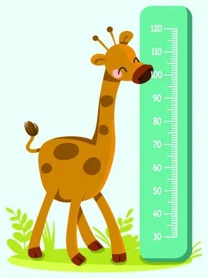 A cartoon giraffe with brown spots stands next to a green height measurement chart marked from 30 to 120 centimetres, with small green plants at its feet.