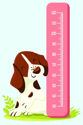 Illustration of a brown and white spaniel puppy sitting beside a tall pink height measurement chart marked with numbers from 30 to 120, with small green grass and leaves at the base.