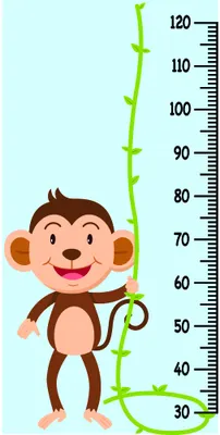 A cartoon monkey with a wide grin climbing a green vine beside a measurement scale from 30 to 120 centimetres.