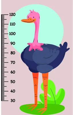 A tall pink-headed ostrich with orange legs stands on grass against a mint-green circle, with a height measurement scale from 30 to 120 centimetres running down its side.
