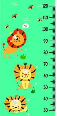 A height chart with three illustrated lions stacked vertically, each with a friendly expression, marked with a measurement scale from 30 to 120 centimetres against a mint green background.