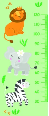 A vertical height chart featuring an orange lion with a crown at the top, a grey elephant in the middle, and a striped zebra at the bottom, set against a pale green background with decorative leaves and geometric shapes.