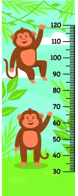 Cartoon illustration of two brown monkeys with raised arms positioned at different heights beside a numbered growth chart scale from 30 to 120 centimetres, surrounded by green tropical leaves.