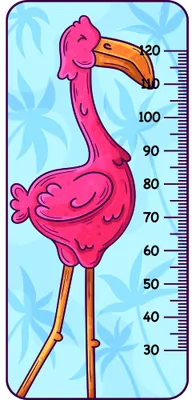 A bright pink cartoon flamingo with an orange beak holds a measurement ruler along its thin orange legs against a light blue background with white flower shapes.