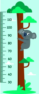 A grey koala clings to a brown tree trunk surrounded by green foliage, with a numbered height scale from 30 to 110 centimetres running vertically alongside.