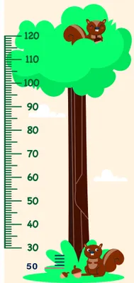 A cartoon height chart with a large green tree trunk marked with measurements from 30 to 120 centimetres, two brown squirrels climbing the tree, and green foliage at the top and base against a cream background.