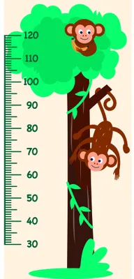 Illustration of two red and brown monkeys climbing a brown tree trunk with bright green foliage, accompanied by a vertical height measurement scale marked from 30 to 120 centimetres.