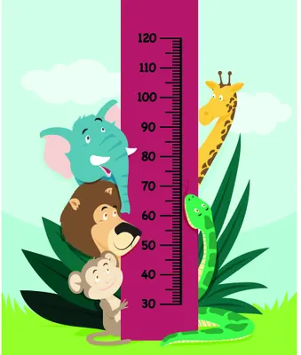 A colourful illustrated height chart showing an elephant, monkey, bear and giraffe standing beside a magenta measurement ruler with numbers from 30 to 120, surrounded by green leaves and pale clouds.