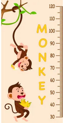 A cartoon height chart featuring a brown monkey swinging from a green vine at the top and another brown monkey holding fruit at the bottom, with measurement markings from 30 to 120 centimetres along the right side.