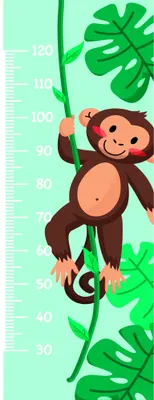 A brown cartoon monkey with a smiling face climbs a green vine with large leaves against a pale mint-green background, with height measurements marked in centimetres from 20 to 120cm.