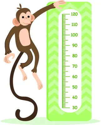 A cartoon illustration of a brown monkey with a curved tail reaching upwards next to a white and lime-green height measurement chart marked from 30 to 120 centimetres.
