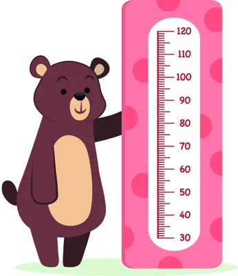 A cartoon brown bear with a cream-coloured belly stands waving next to a tall pink height chart decorated with lighter pink circles, with a small patch of green grass at the base.