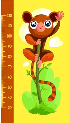 A cartoon brown monkey with pink cheeks climbs a green vine against a yellow background, with a height measurement scale marked from 30 to 120 centimetres on the left side.