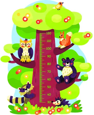 A colourful illustrated height chart with a large green tree containing multiple cartoon owls and squirrels in various poses, with flowers and birds, marked with measurement increments from 30 to 120 centimetres.
