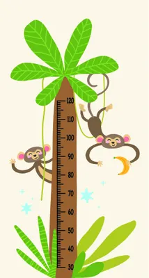Illustrated height chart showing two brown monkeys playing around a central measurement scale tree trunk with large green leaves, cyan stars, and tropical foliage on a cream background.