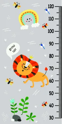 A cartoon lion with a colourful striped mane stands next to a height measurement scale marked from 50 to 120cm, surrounded by bees, butterflies, plants, a rainbow, and clouds.
