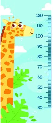 A cartoon giraffe with a spotted yellow and orange body stands next to a height measurement scale marked from 30 to 120 centimetres, with white clouds and green foliage framing the edges.