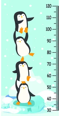 Illustration of four cartoon penguins stacked vertically on an icy blue background with a height measurement scale running down the right side from 30 to 120 centimetres.