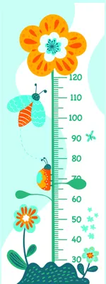 A vertical growth chart illustrated with orange and yellow flowers, green leaves, bees, butterflies and small insects arranged along a measurement scale from 0 to 120 centimetres against a pale blue background.
