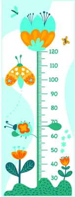 A vertical growth chart illustrated with stacked flowers in orange and teal, small birds and insects, with height measurements marked from 40 to 120 centimetres.