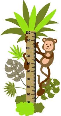 A cartoon monkey clings to a height measurement chart surrounded by various shades of green tropical leaves and plants, with measurements marked from 30 to 120 centimetres.
