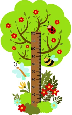 A cheerful height chart illustration featuring a large tree with red flowers, a smiling bee, climbing vines, and flowering plants at the base, with measurement markings from 30 to 120 centimetres.