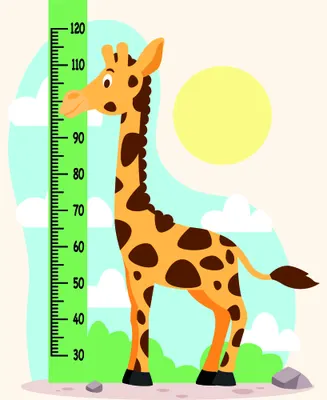 A cartoon giraffe with brown spots stands beside a green height measurement scale marked in centimetres, with a yellow sun and turquoise clouds in the background.