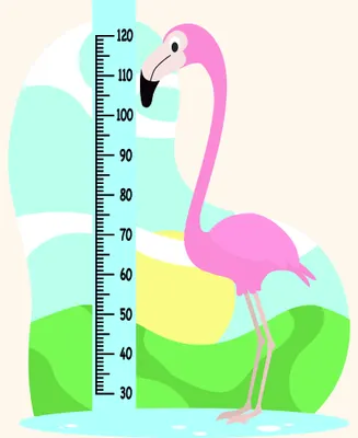 A bright pink flamingo stands next to a numbered height measurement scale from 30 to 120, set against a landscape of yellow, green and aqua shapes.