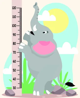 A grey illustrated elephant with raised trunk stands beside a height measurement scale marked from 30 to 120, with a yellow sun, white clouds, and green grass in the background.