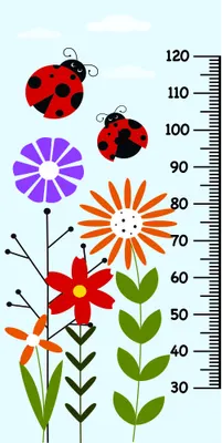 A height measurement chart illustrated with red ladybugs, purple and orange flowers with green leaves, and a light blue sky background with measurement markers from 30 to 120 centimetres.