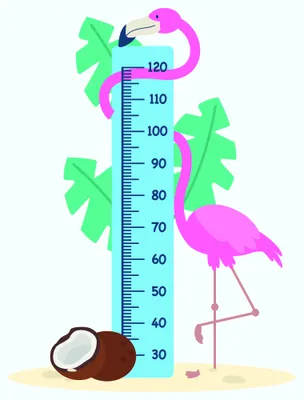 A colourful height chart featuring two pink flamingos among green monstera leaves, with measurement markings from 30 to 120 centimetres, a coconut at the base, and sandy ground.