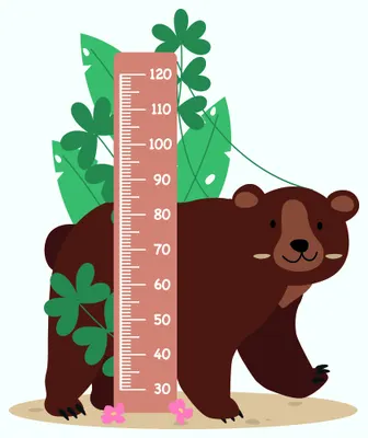 A brown bear stands beside a pink height measurement scale decorated with green leaves and plants on a cream background.