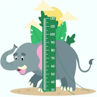 An illustrated grey elephant with pink ear detail stands beside a green measurement scale marked 30-120, surrounded by tropical leaves and pale yellow clouds.