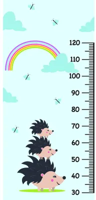 A height chart illustration showing three stacked pink hedgehogs with black spines beneath a pastel rainbow and blue rain, with a measurement scale marked from 30 to 120 centimetres.