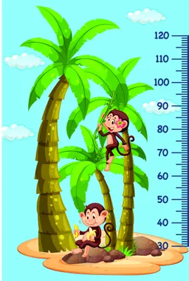 Cartoon illustration of two brown monkeys climbing a green palm tree with white clouds and a blue measurement scale from 30 to 120 centimetres on a light blue background.